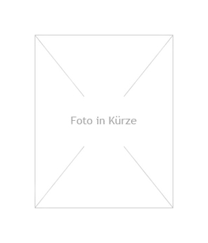 Design Kugelbrunnen Edobe LED