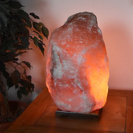 Kristallsalzmpe Himalaya 50
