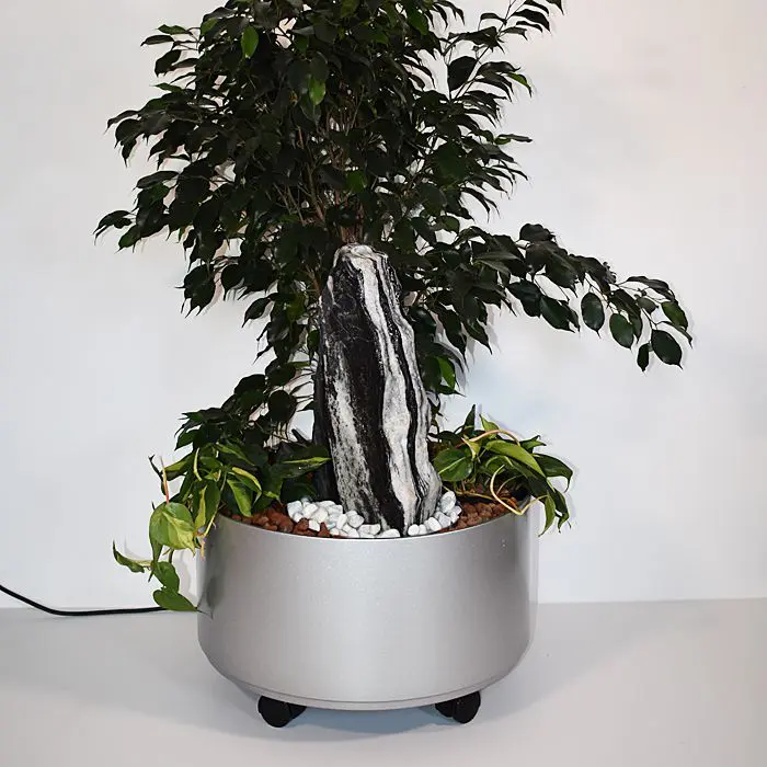 Dekorativer Zimmerbrunnen – Pflanzen & Luftbefeuchtung